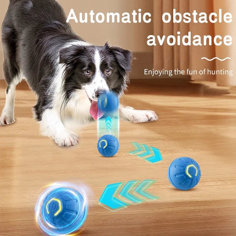 AutoPaw Ball