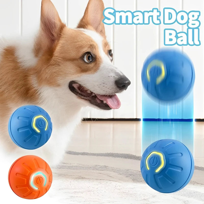 AutoPaw Ball