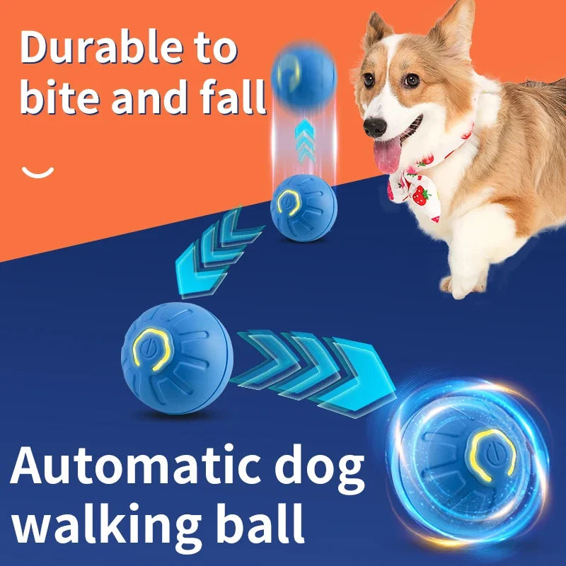 AutoPaw Ball